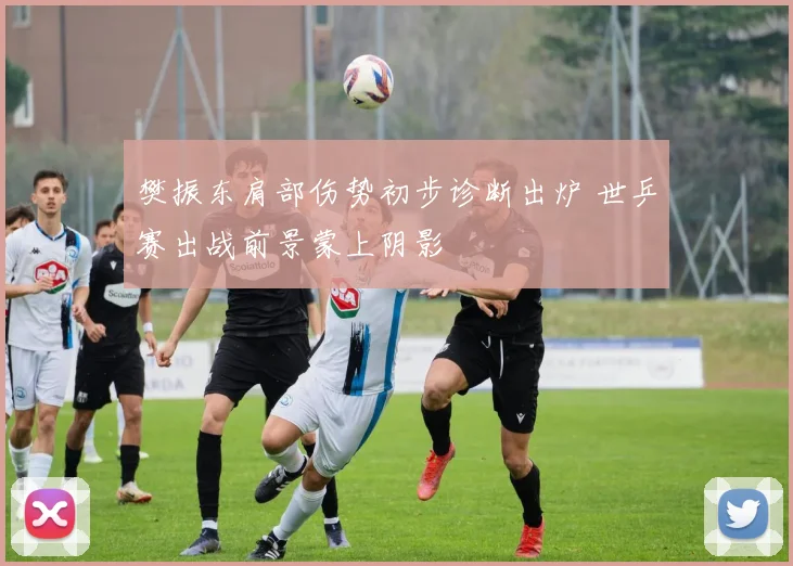 樊振东肩部伤势初步诊断出炉 世乒赛出战前景蒙上阴影
