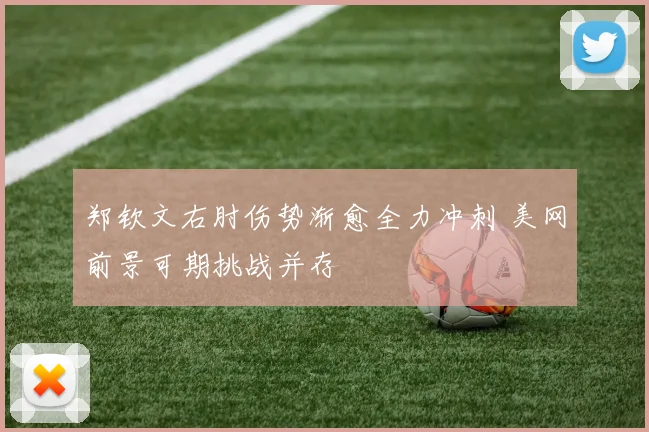郑钦文右肘伤势渐愈全力冲刺 美网前景可期挑战并存