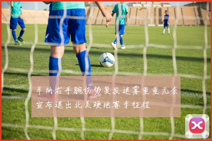 辛纳右手腕伤势复发迷雾重重无奈宣布退出北美硬地赛季征程